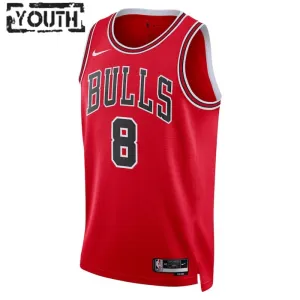 Maillot Enfant Chicago Bulls Zach Lavine 8 Icon Edition Rouge Swingman