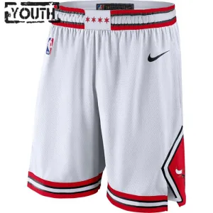 Short Enfant Chicago Bulls Association Edition Swingman Short Enfant Chicago Bulls Association Edition Swingman
