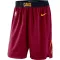 Short Homme Cleveland Cavaliers Icon Edition Swingman