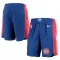 Short Homme Detroit Pistons Icon Edition Swingman