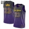 Maillot Enfant Los Angeles Lakers Lebron James City Edition 2024-25 Violet Swingman